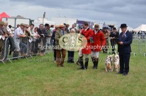 1771330276_1771330276_csc-9352