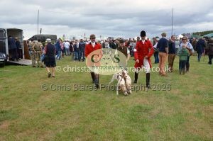 1771330277_1771330277_csc-9357