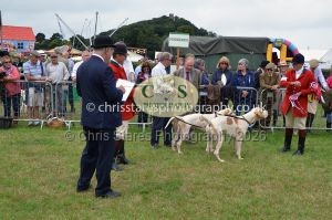 1771330278_1771330278_csc-9360