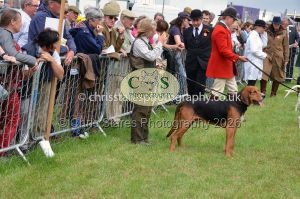 1771330283_1771330283_csc-9368