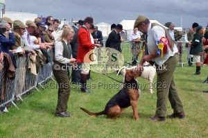 1771330285_1771330285_csc-9369