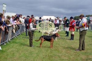 1771330287_1771330287_csc-9372