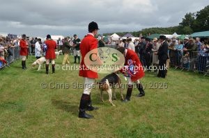 1771330290_1771330290_csc-9388