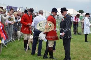 1771330291_1771330291_csc-9399