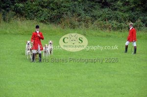 1771330294_1771330294_csc-9406