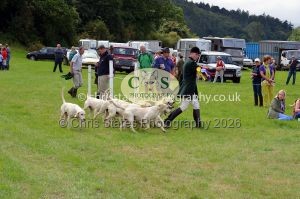 1771330299_1771330299_csc-9416