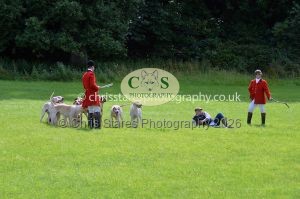 1771330306_1771330306_csc-9429