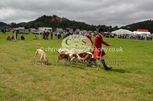 1771330307_1771330307_csc-9433