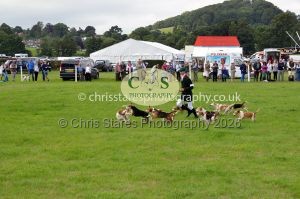 1771330312_1771330312_csc-9439