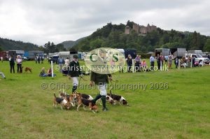 1771330313_1771330313_csc-9440