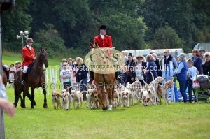 1771330324_1771330324_csc-9459