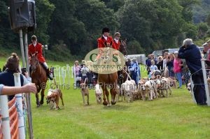 1771330325_1771330325_csc-9460