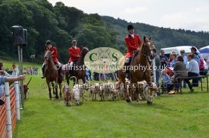 1771330327_1771330327_csc-9462