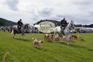 1771330331_1771330331_csc-9470