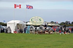 1771330333_1771330333_csc-9471