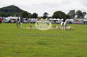 1771330334_1771330334_csc-9473