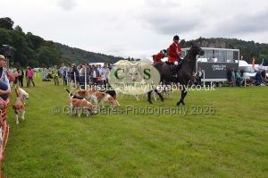 1771330335_1771330335_csc-9475