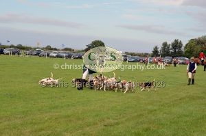 1771330340_1771330340_csc-9482