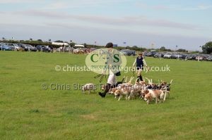 1771330341_1771330341_csc-9483