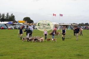 1771330343_1771330343_csc-9487e