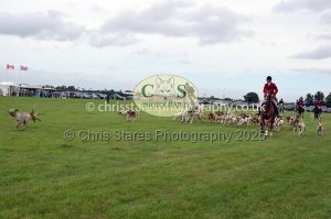 1771330346_1771330346_csc-9489