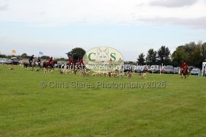 1771330349_1771330349_csc-9494