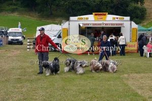 1771329704_1771329704_dunster-country-fair-003