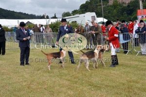 1771329706_1771329706_dunster-country-fair-005