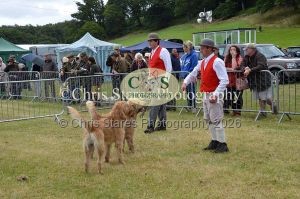 1771329711_1771329711_dunster-country-fair-009