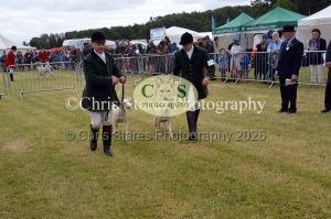 1771329716_1771329716_dunster-country-fair-013