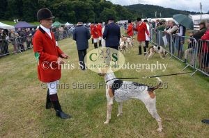1771329720_1771329720_dunster-country-fair-016