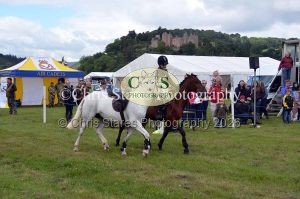 1771329726_1771329726_dunster-country-fair-021