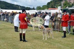1771329739_1771329739_dunster-country-fair-030