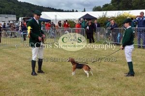 1771329744_1771329744_dunster-country-fair-034