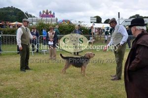 1771329749_1771329749_dunster-country-fair-037