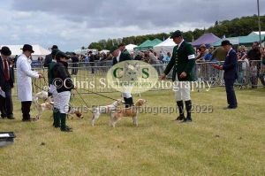 1771329754_1771329754_dunster-country-fair-041