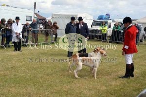 1771329756_1771329756_dunster-country-fair-042