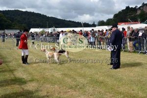 1771329757_1771329757_dunster-country-fair-043
