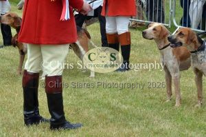 1771329764_1771329764_dunster-country-fair-048