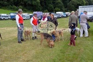 1771329775_1771329775_dunster-country-fair-057