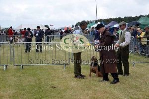 1771329777_1771329777_dunster-country-fair-058