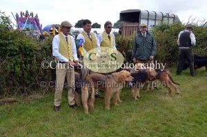 1771329782_1771329782_dunster-country-fair-062