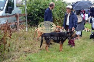 1771329784_1771329784_dunster-country-fair-064