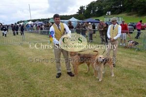 1771329791_1771329791_dunster-country-fair-069