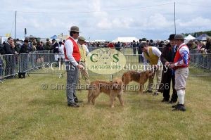 1771329792_1771329792_dunster-country-fair-070