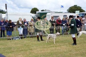 1771329811_1771329811_dunster-country-fair-084