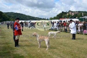 1771329816_1771329816_dunster-country-fair-088