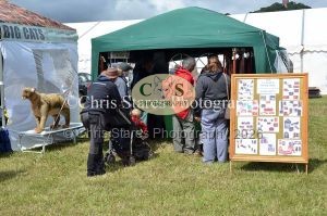 1771329819_1771329819_dunster-country-fair-090