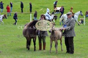 1771329843_1771329843_dunster-country-fair-105