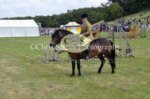 1771329845_1771329845_dunster-country-fair-107